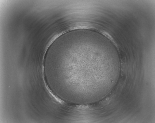 X0000063450890200601231349