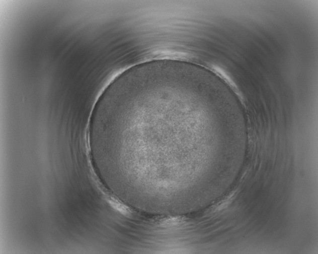 X0000063450891200601231349