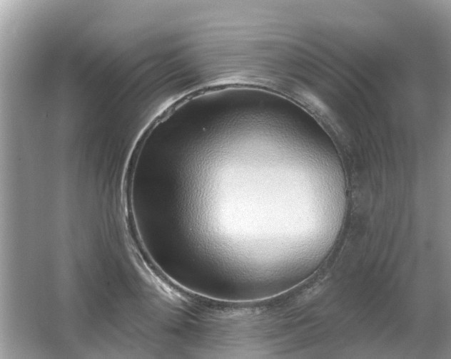 X0000063450892200601231349