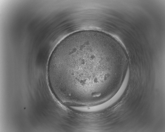 X0000063450895200601231349