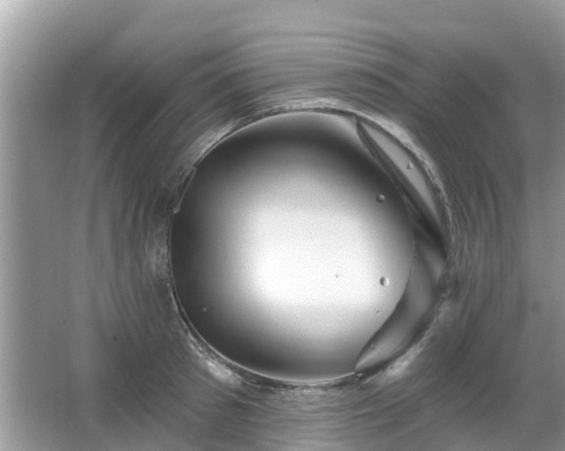 X0000063450897200601231349