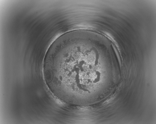 X0000063450899200601231349