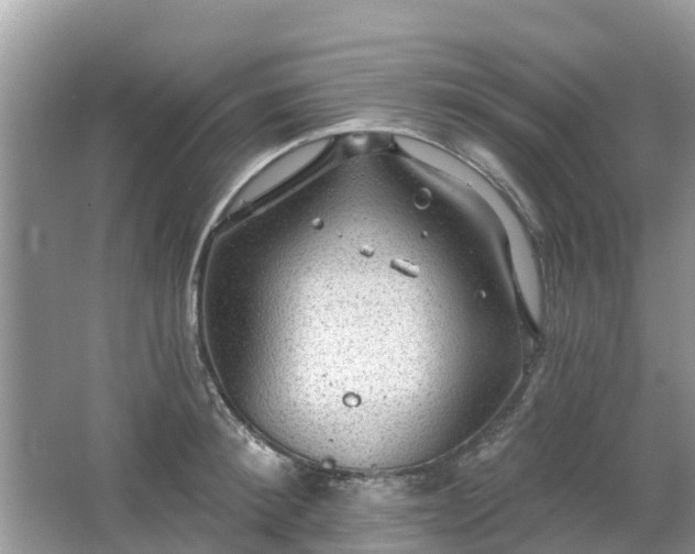 X0000063450900200601231349