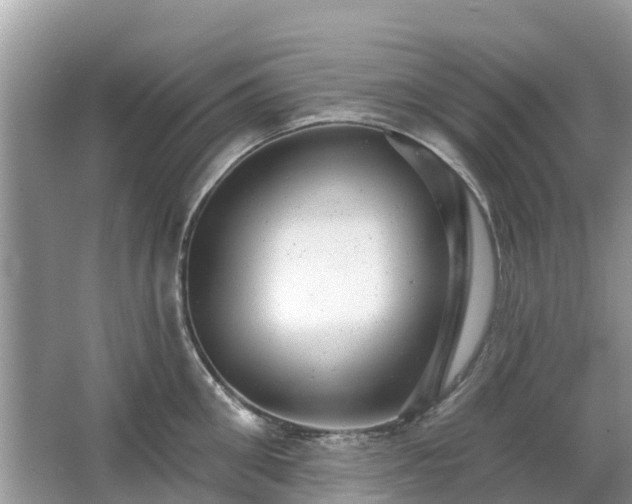 X0000063450906200601231349