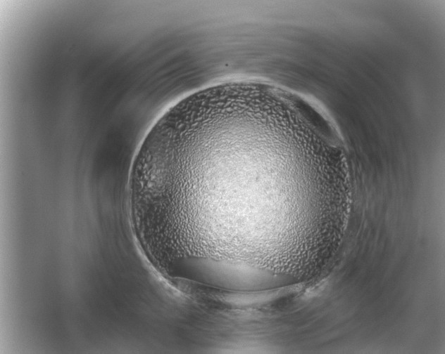 X0000063450911200601231349