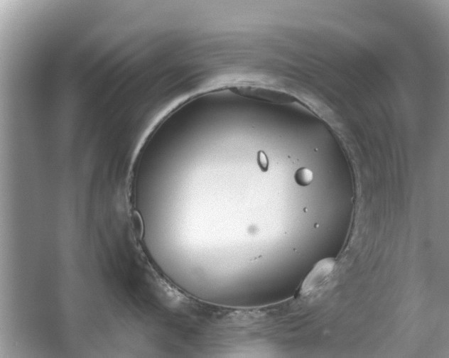 X0000063450912200601231348