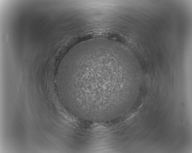 X0000063450913200601231348