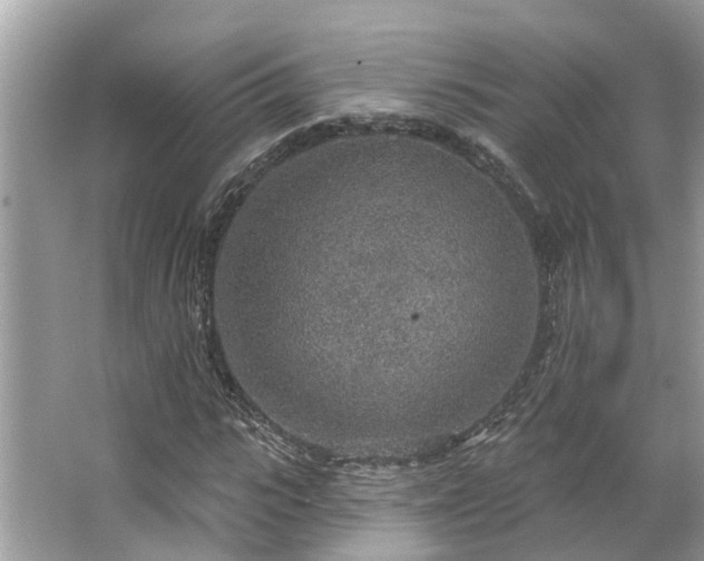 X0000063450919200601231348