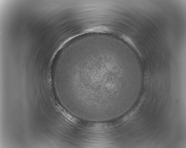 X0000063450923200601231348