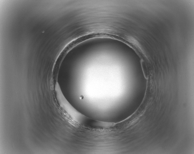 X0000063450924200601231348