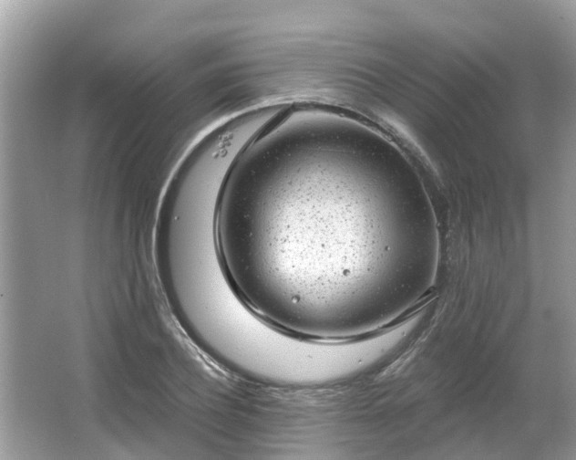 X0000063450932200601231348