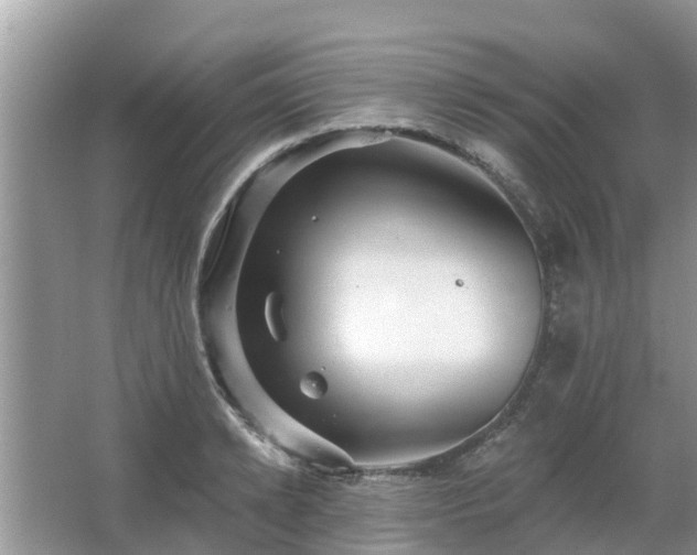 X0000063450942200601231348