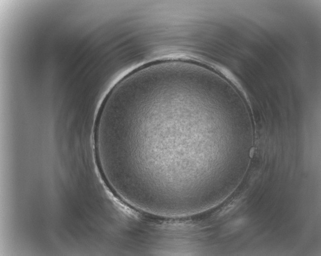 X0000063450951200601231348