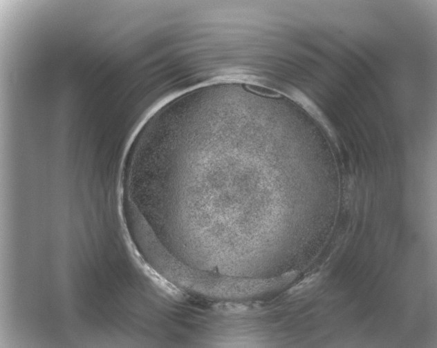 X0000063450955200601231348