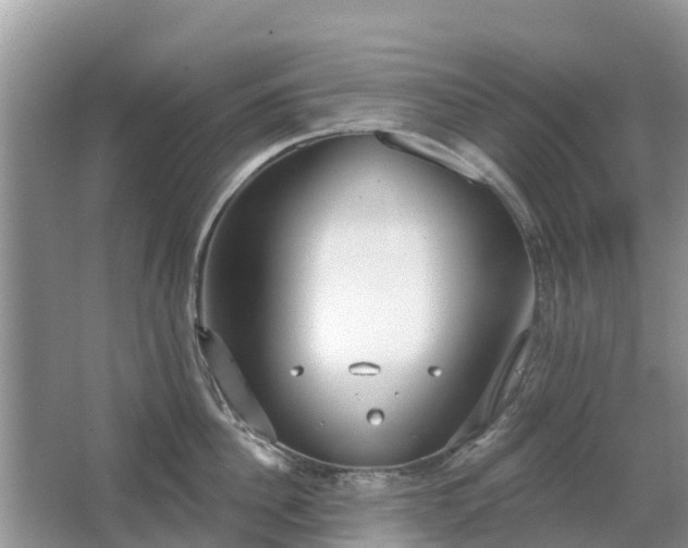 X0000063450956200601231348