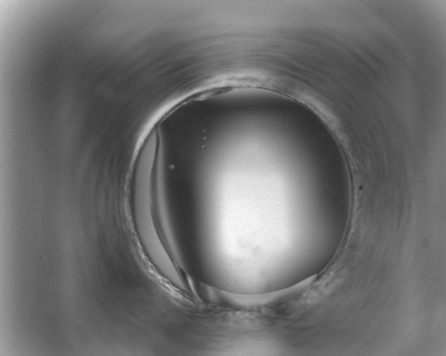 X0000063450960200601231348