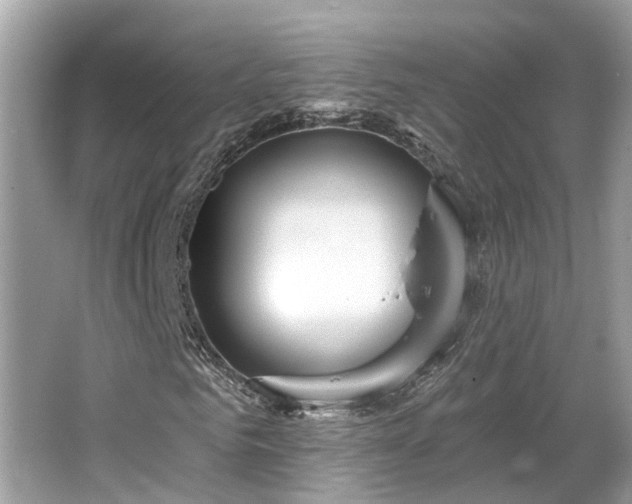 X0000063450961200601231348