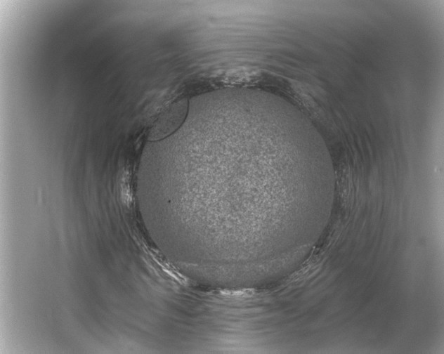 X0000063450962200601231348