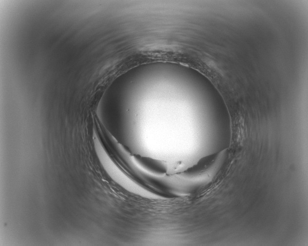 X0000063450965200601231348