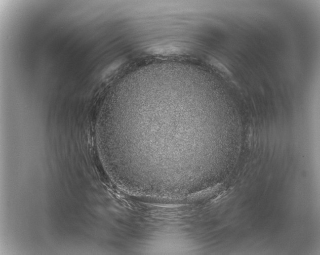 X0000063450966200601231348