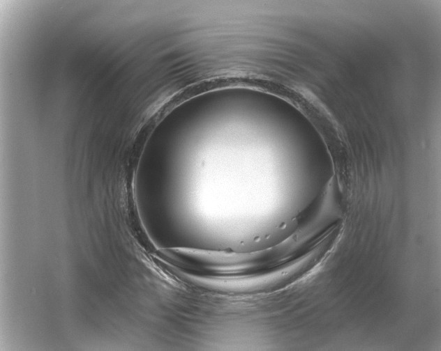 X0000063450969200601231348