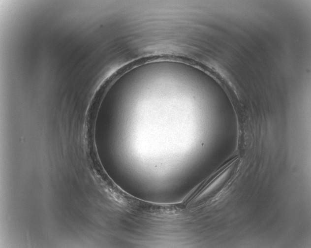 X0000063450975200601231347