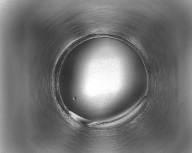 X0000063450976200601231347