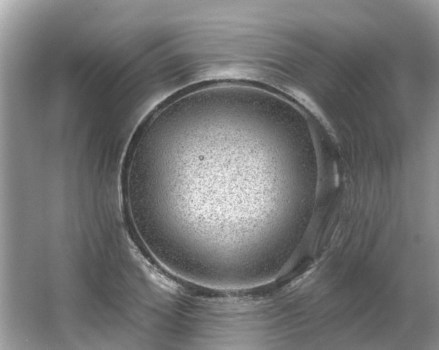 X0000063450980200601231347