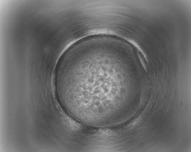 X0000063450983200601231347