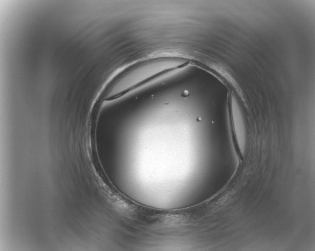 X0000063450984200601231347