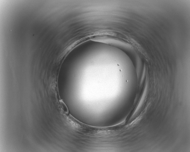 X0000063450985200601231347