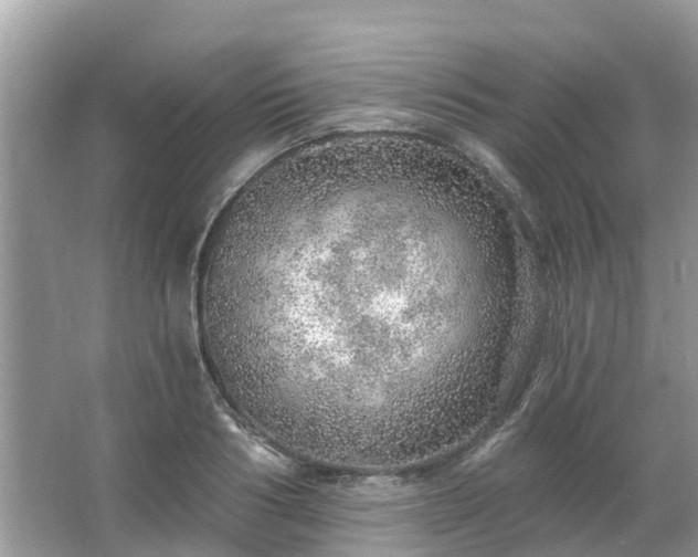 X0000063450986200601231347