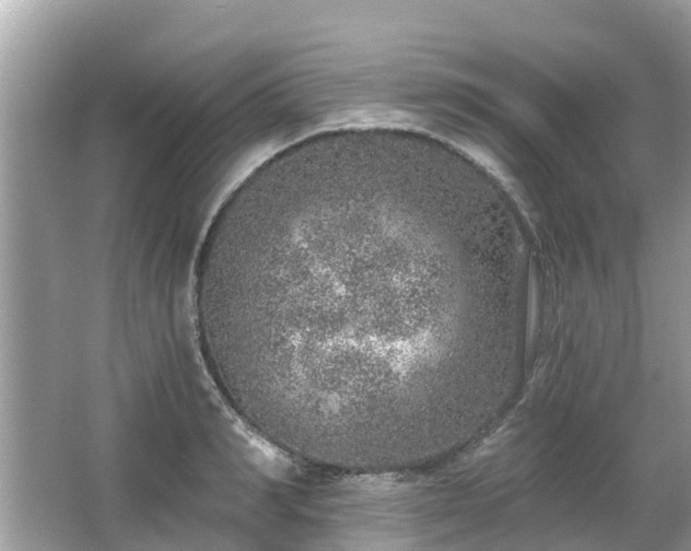 X0000063450990200601231347