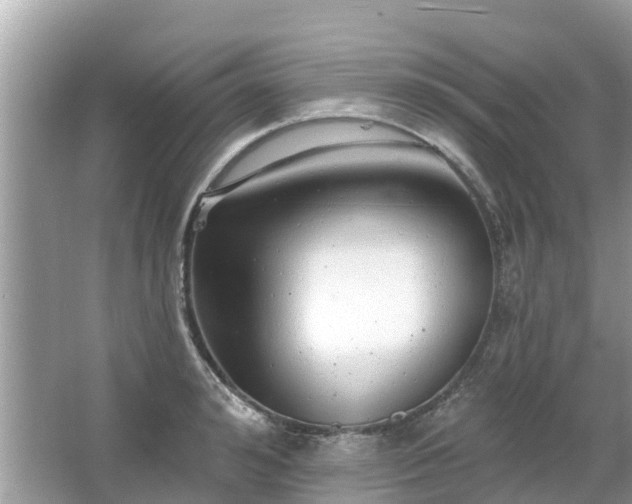 X0000063450992200601231347