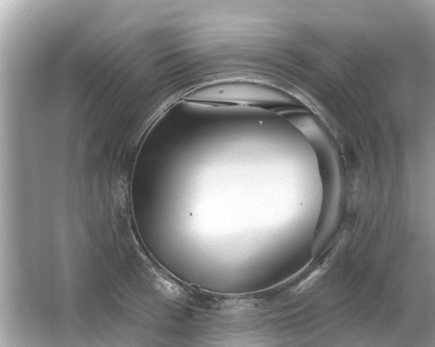 X0000063450993200601231347