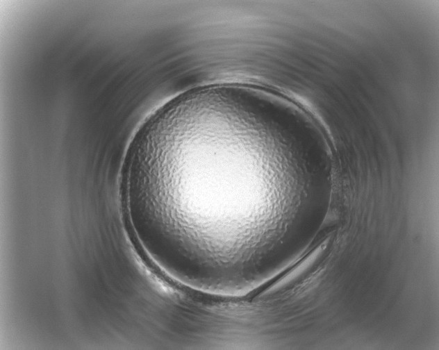 X0000063450995200601231347