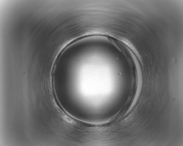 X0000063450996200601231347