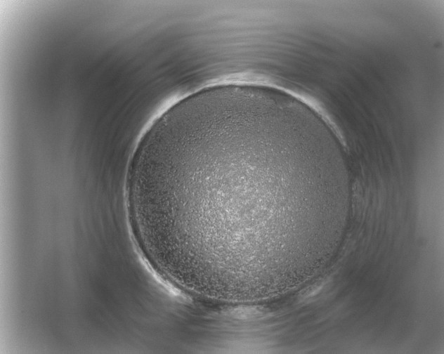 X0000063450998200601231347