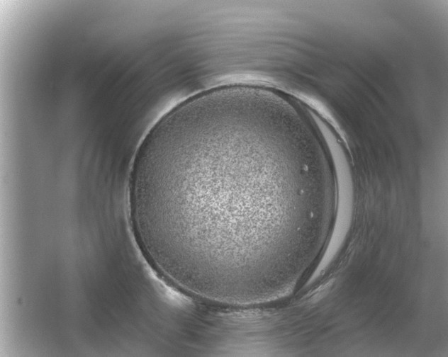 X0000063450999200601231347