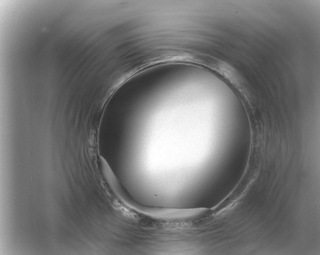 X0000063451001200601231347