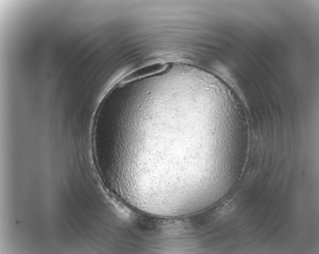 X0000063451002200601231347