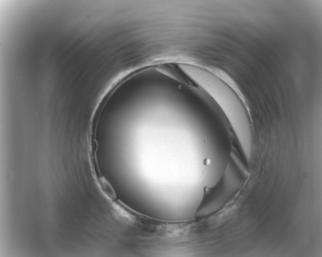 X0000063451005200601231347