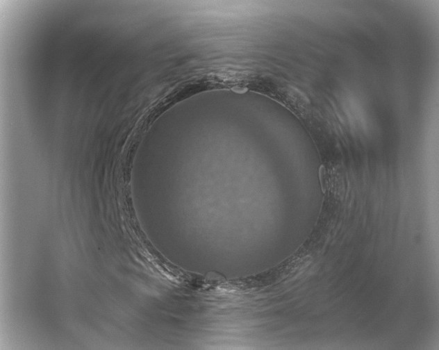 X0000063451009200601231346