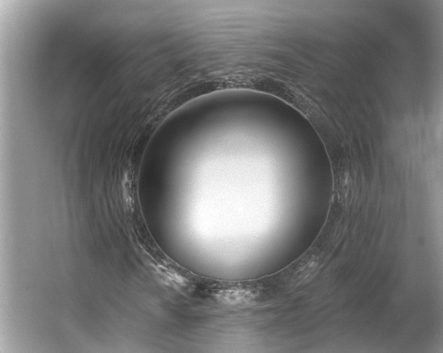 X0000063451010200601231346