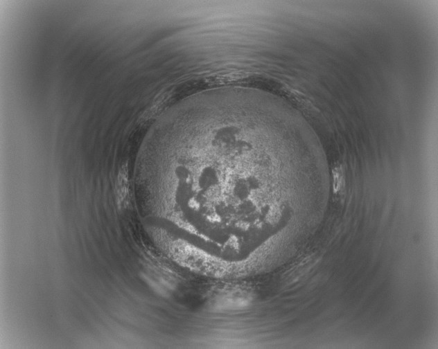 X0000063451011200601231346