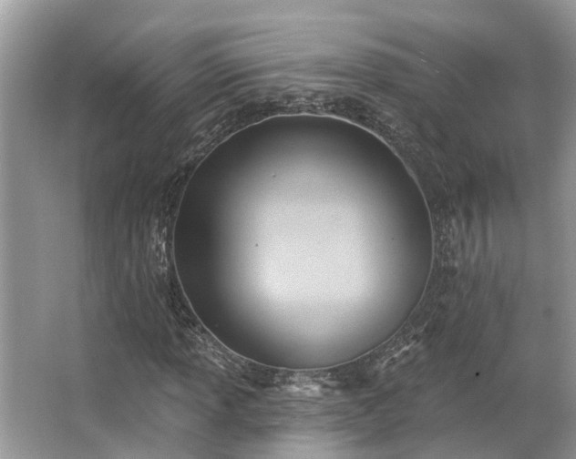 X0000063451013200601231346