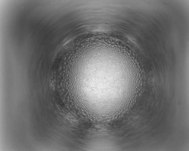 X0000063451015200601231346