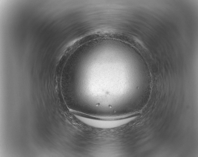 X0000063451016200601231346