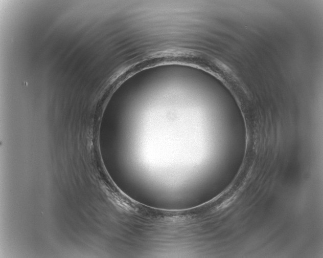 X0000063451017200601231346