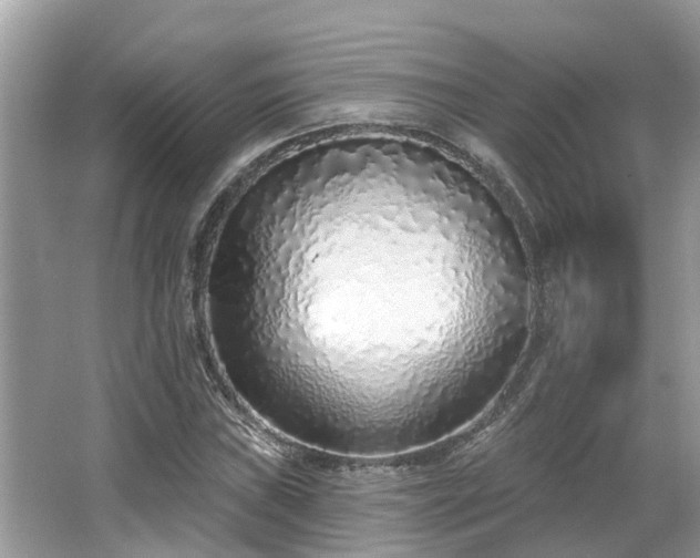 X0000063451019200601231346